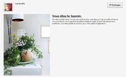 Ma plante mon bonheur 03 Ma plante mon bonheur 03