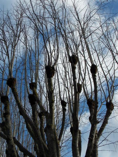 09 mars saint-nazaire L comme... liberté 09 mars saint-nazaire L comme... liberté