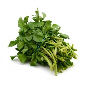 Le Cresson cresson_produit_346_346_filled