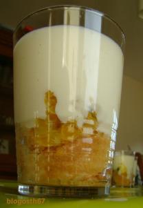 Verrines Kiwis-Clémentines-Oranges Verrine_Kiwi_Clementine_Orange_2