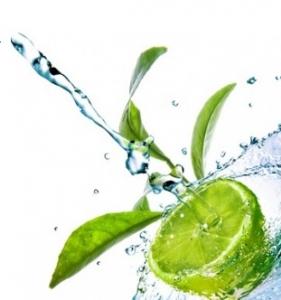 CAFÉINE et boissons énergisantes: Pourquoi les étudiants devraient limiter – Journal of Education and Behavior Nutrition CAFÉINE et boissons énergisantes: Pourquoi les étudiants devraient limiter – Journal of Education and Behavior Nutrition