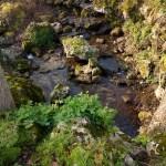 J’ai testé pour vous le Nexus 6P IMG_20160311_094225