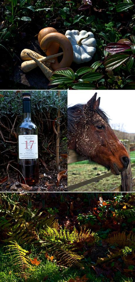 (Les) orange(s) de Noël (Les) orange(s) de Noël