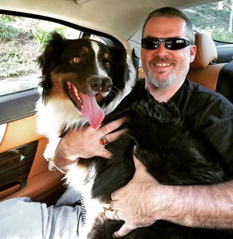 Toby, le jeune berger australien qui possède deux museaux au lieu d’un, à deux c’est toujours mieux Toby, le jeune berger australien qui possède deux museaux au lieu d’un, à deux c’est toujours mieux