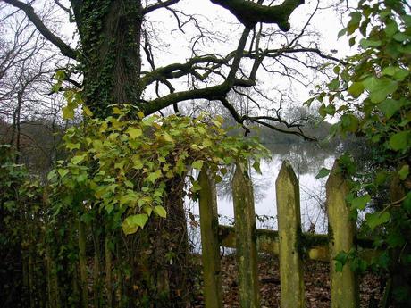 si dieu existait si dieu existait