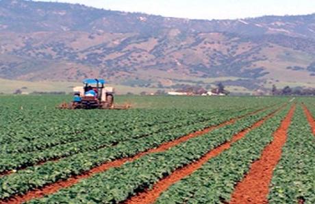 Filière pomme de terre : Grandes opportunités d’exportation _ Les exportations ciblent les pays du Golfe, la Russie et le Sud européen Filière pomme de terre : Grandes opportunités d’exportation _ Les exportations ciblent les pays du Golfe, la Russie et le Sud européen