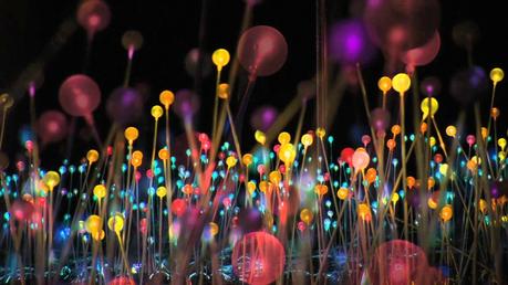 BRUCE MUNRO z42