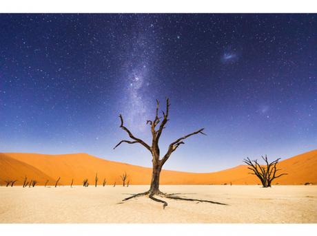 La photographie du jour Beth McCarley
