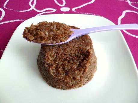 gâteau de riz de konjac chocolat et cacahuète au psyllium à 20 kcal (diététique, sans oeuf ni beurre ni sucre, riche en fibres) P1290772