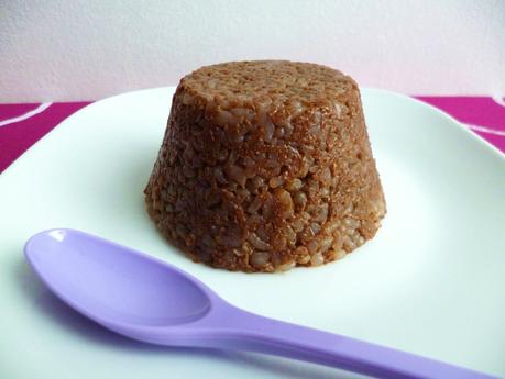 gâteau de riz de konjac chocolat et cacahuète au psyllium à 20 kcal (diététique, sans oeuf ni beurre ni sucre, riche en fibres) P1290767