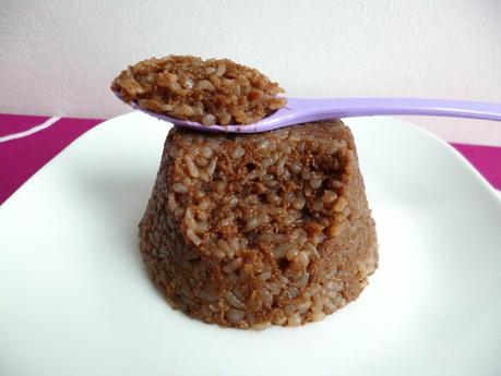 gâteau de riz de konjac chocolat et cacahuète au psyllium à 20 kcal (diététique, sans oeuf ni beurre ni sucre, riche en fibres) P1290780