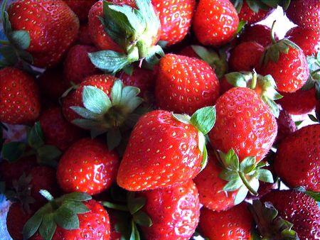 fraises_fraiches