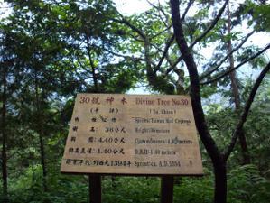 Le parc forestier du Mont Taiping