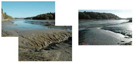 La vase au virage de Lannuguy, à Locquénolé, sur la rivière de Morlaix La vase au virage de lannuguy, à Locquénolé, sur la rivière de Morlaix