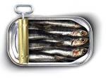 Ligne 13 : les sardines ont la parole ! 1095420598.jpg