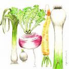 A Bougrenette... A Bougrenette...