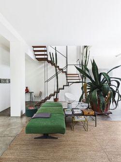 Vitamin intérieur Vitamin intérieur