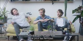 Vitamin plantes-hommes Vitamin plantes-hommes