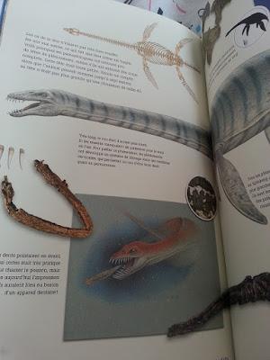 Minus, l'incroyable histoire des reptiles marins au temps des dinosaures