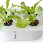 Le jardin indoor ELIOOO is an Instruction Book That Shows You How to Turn IKEA Parts Into a Hydroponic Garden System