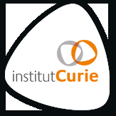 CANCER : CE QU’UNE SIMPLE PRISE DE SANG PEUT NOUS APPRENDRE Institut Curie : Recherche, lutte et soins contre le cancer