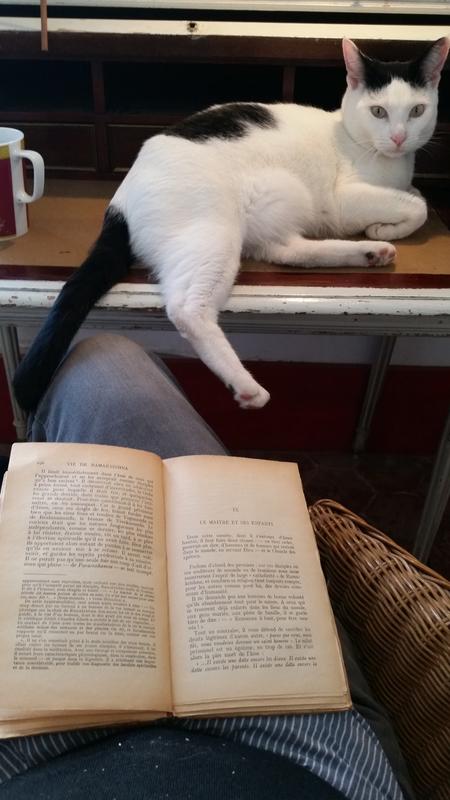 Un chat et une conscience 20160326_142154