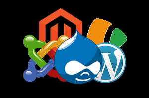 Conseils pour créer un site web professionnel sans se ruiner en 2016 Site web CMS