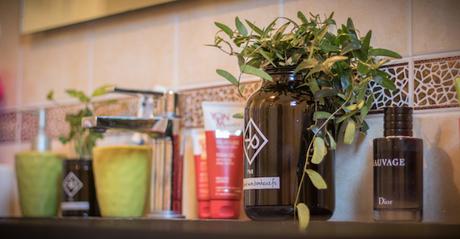 Des plantes pour les hommes, les vrais ! Vitamin Plant plante homme salle de bain