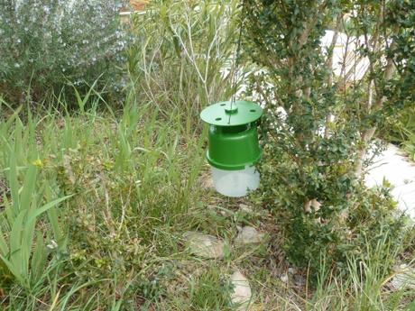 Un peu de travail au jardin ce matin loisirs,saisons,printemps,jardin,fleurs
