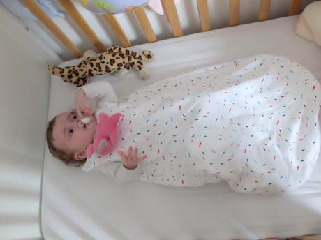 Les petits nouveaux de chez Natalys DSCF2618