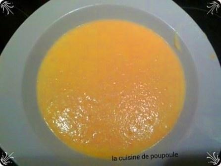Velouté carotte fenouil au thermomix Velouté carotte fenouil au thermomix