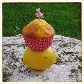 Top 5 du mois de Mars Muffins au citron au thermomix - La cuisine de poupoule