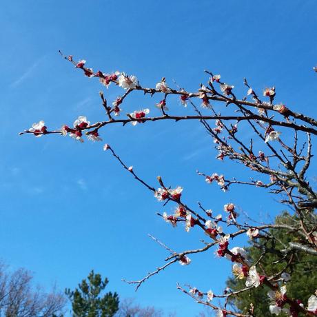 Week-end dans le Lubéron IMG_20160326_200422