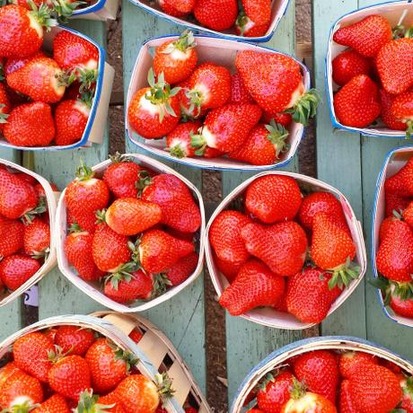 Week-end dans le Lubéron IMG_20160326_162146