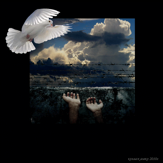 Semaine du 28 Mars au 3 Avril 2016 Semaine du 28 Mars au 3 Avril 2016