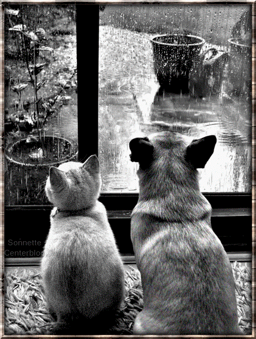 Semaine du 28 Mars au 3 Avril 2016 Semaine du 28 Mars au 3 Avril 2016