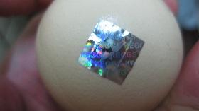 Do you want a kegg ? img_0675