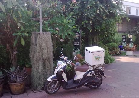 Thaïlande  Chappy rider, café Lagardére, Ail rider