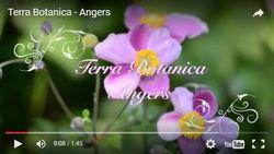 Terra botanica Terra botanica