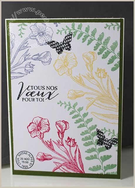 En couleurs …Carte Scrap #522 #523 IMG_37461