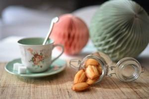 Delphine vous invite 13007096_1576492949329574_9023031216606342350_n