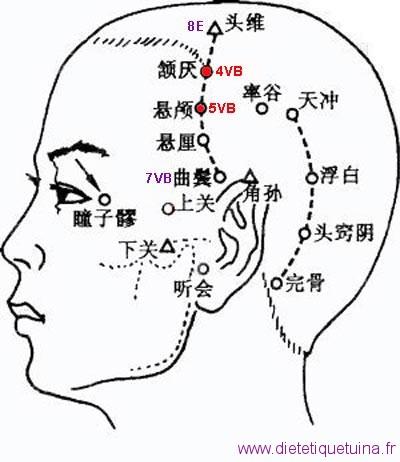 Le point Xuan Lu du méridien de la vésicule biliaire (5VB)