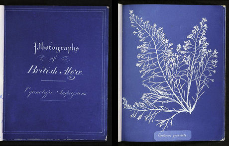 Anna Hatkis et la Photographie Anna Hatkis et la Photographie