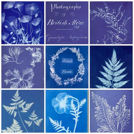 Anna Hatkis et la Photographie Anna Hatkis et la Photographie