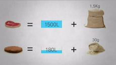 MANGER MOINS DE VIANDE, EST-CE POSSIBLE ? Produire un steak végétal est 8 fois moins gourmand en eau