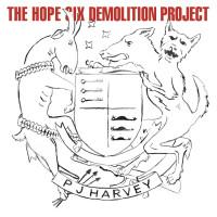 PJ Harvey {The Hope Six Demolition Project}