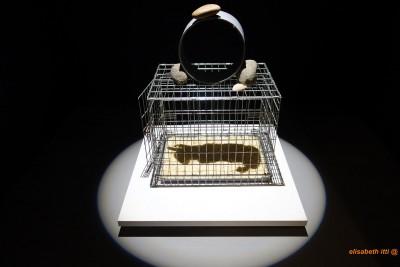 Mac ADAMS, Rabbit, Shadow-Sculpture, 2010, Paris, Galerie GB Agency, Nathalie Bouton