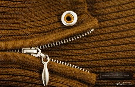 2frog_aotw 2frog_aotw