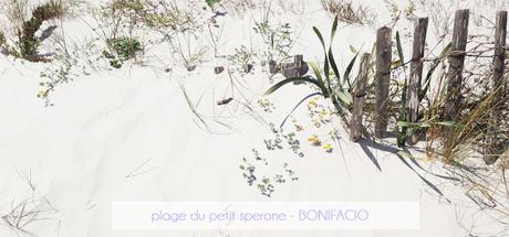 Bonifacio et son Petit Sperone Bonifacio Plage le petit Sperone