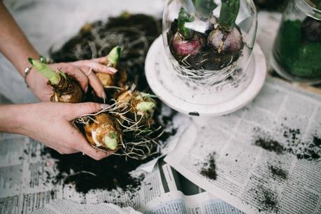 Tide & mon activité printanière Tide & mon activité printanière